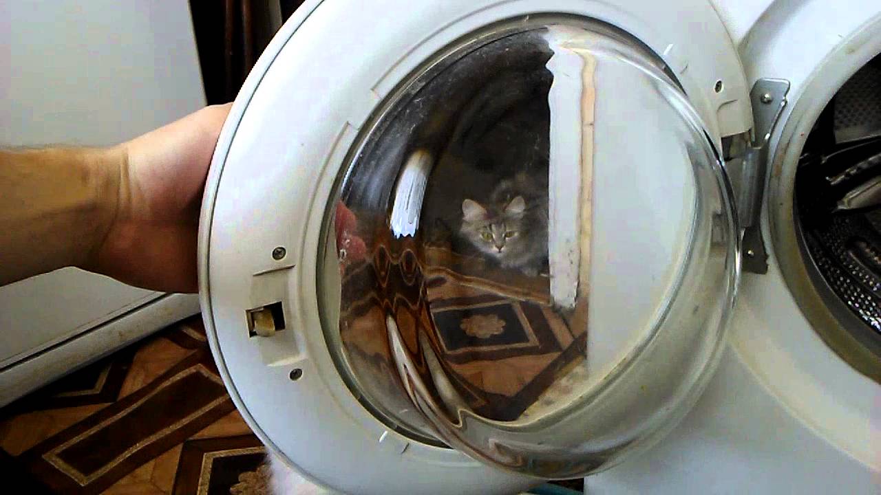 Заміна люка в пральній машині Indesit