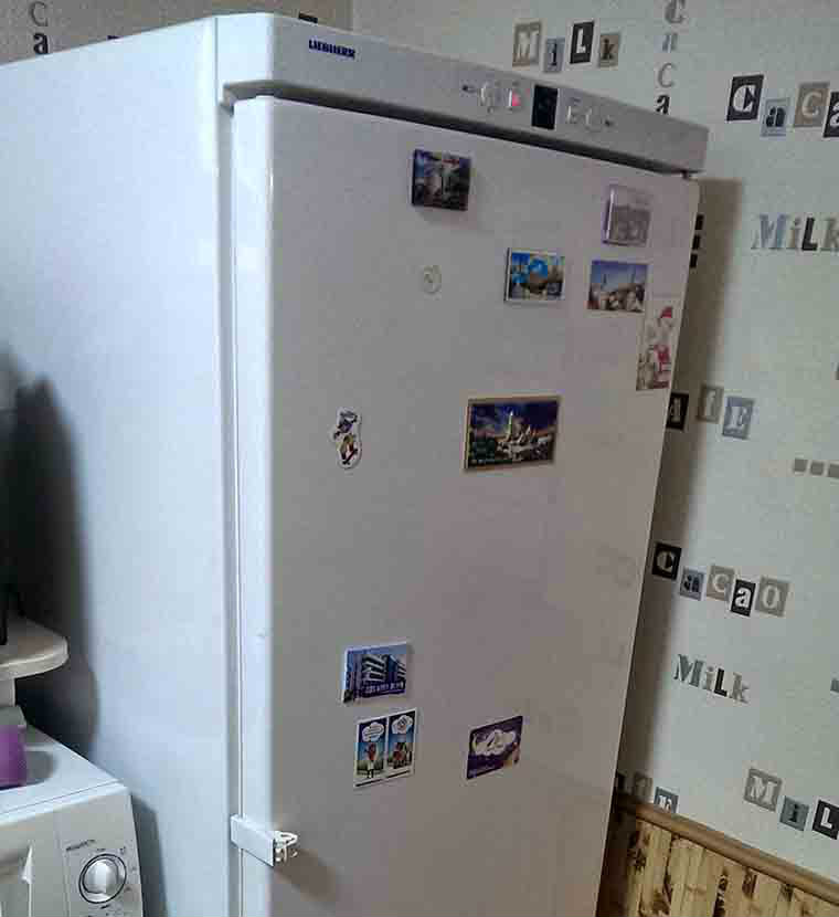 Ручка дверцят холодильника Indesit